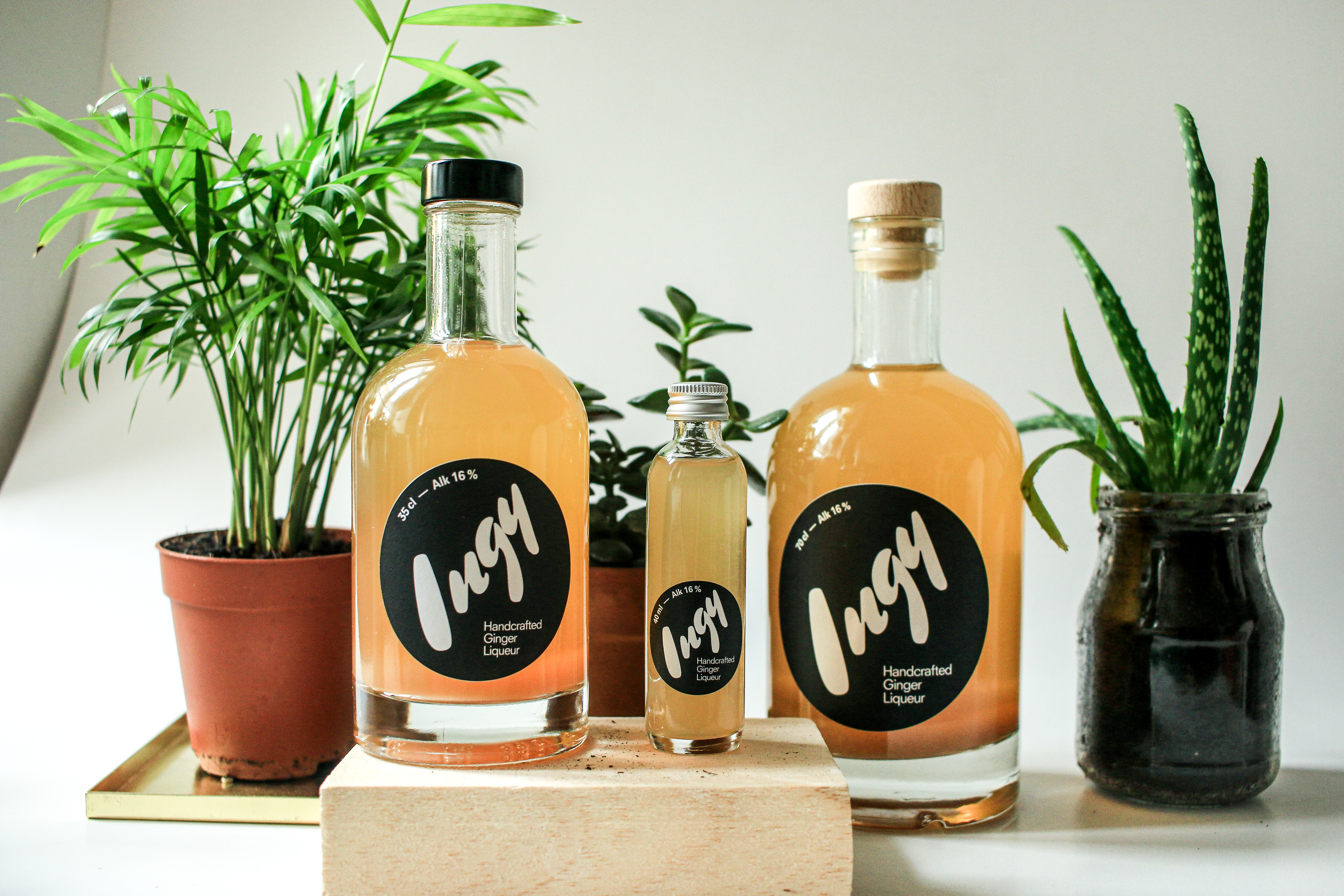 Ingy - Hand Crafted Ginger Liqueur