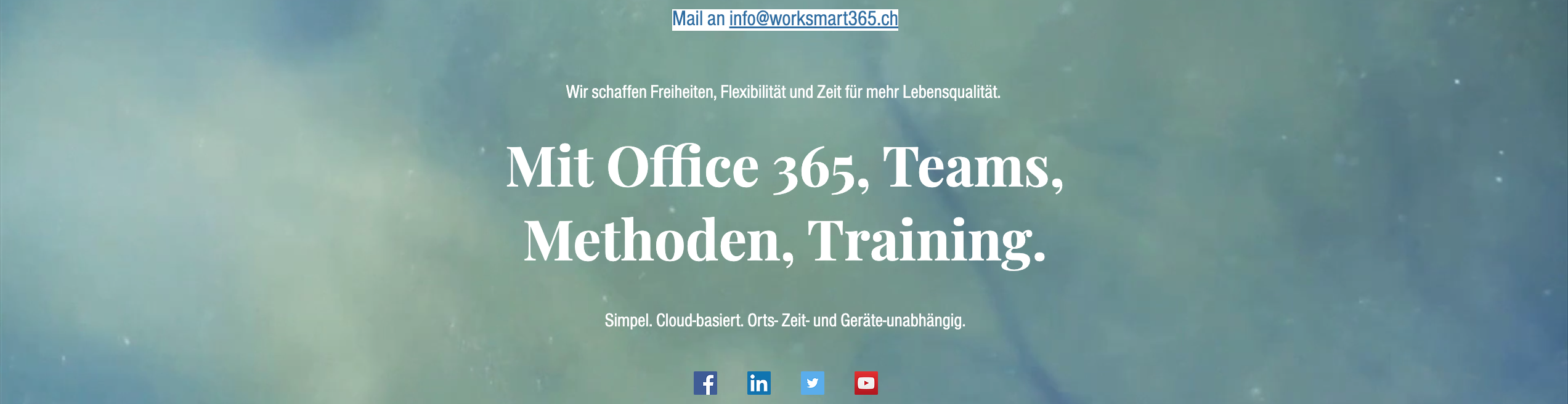 Work Smart 365 GmbH