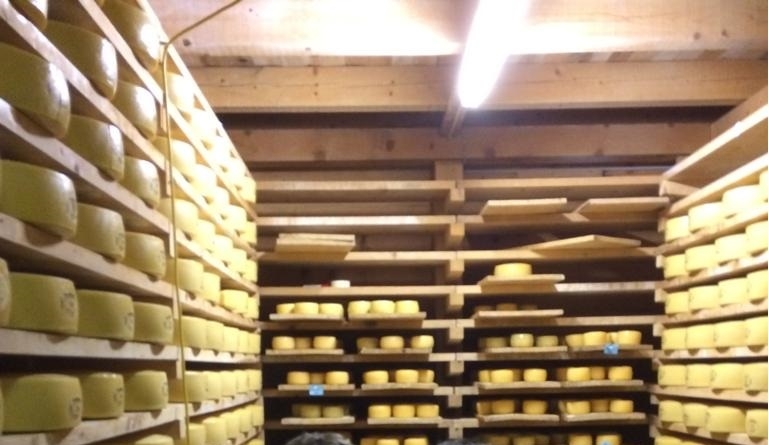 Visit of the alpine cheese dairy at Wengernalp with cheese tasti
