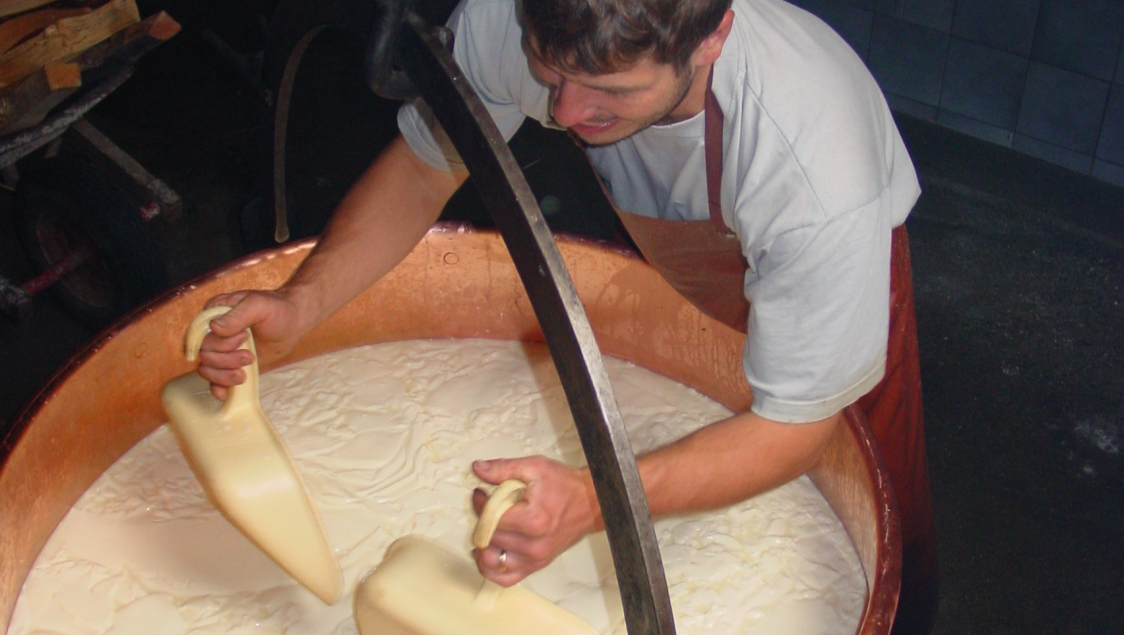 Alpine cheese dairy tour in the Justistal valley