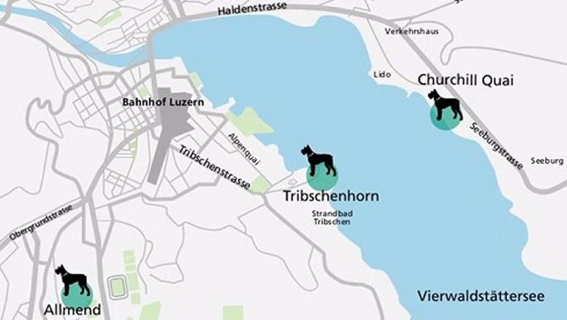 Hunde-Freilaufzonen in der Stadt Luzern